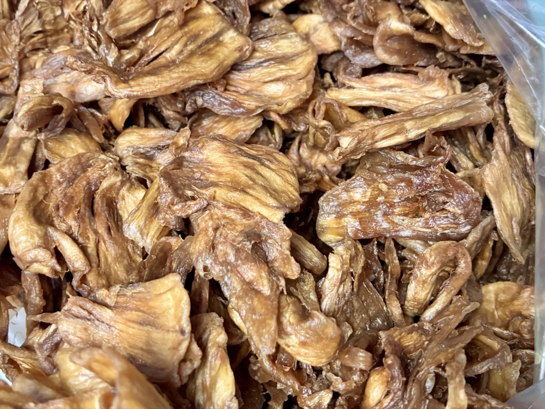 Close-up of golden crisp MyChips oyster mushroom mycelium chips